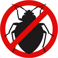 Bed Bug Treatment