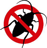 Cockroach Icon