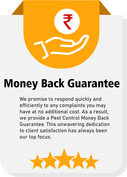 Money Back Guarantee