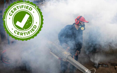 The Importance of Hiring a Certified Professional for Pest Control Treatment