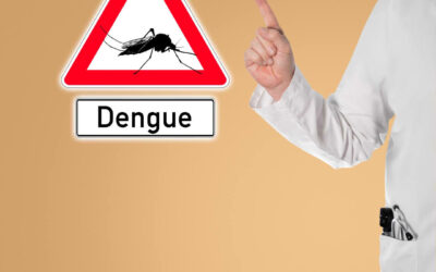 मच्छरों से सतर्क रहें: डेंगू, मलेरिया और चिकुनगुन्या से कैसे बचें